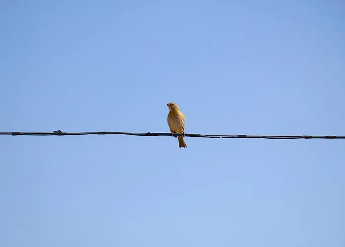 Pousada Canto dos Canários